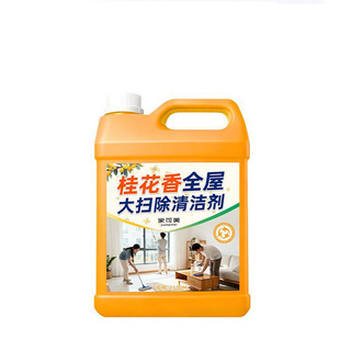 大扫除清洁剂多功能家庭全屋搞卫生神器强力去污家政保洁专用玖
