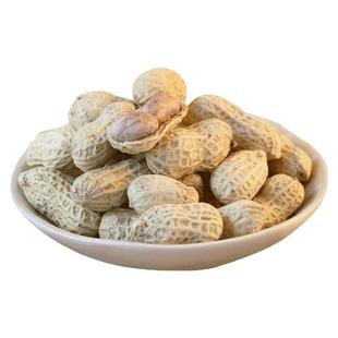 新货水煮白晒咸干湿烤带壳花生蒜香五香咸干原味特产花生米