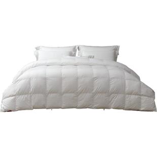 MINE/寐卡夫曼进口波兰95白鹅绒羽绒被四季被子被芯送礼 月光PRO