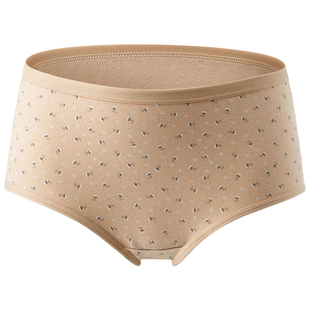 ab内衣【2条装】女士平脚内裤弹力棉抗菌中高腰女短裤旗舰店Y556