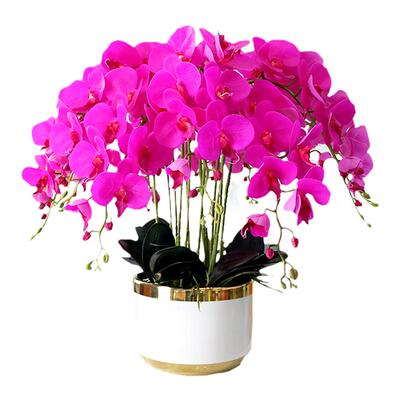蝴蝶兰套装手感pu装饰花