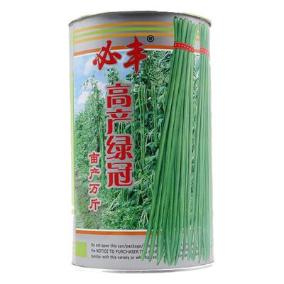 高产抗病中早熟春季豇豆种子