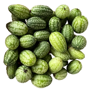 拇指西瓜种籽子盆栽水果种子迷你小西瓜阳台蔬菜四季耐寒耐热种子