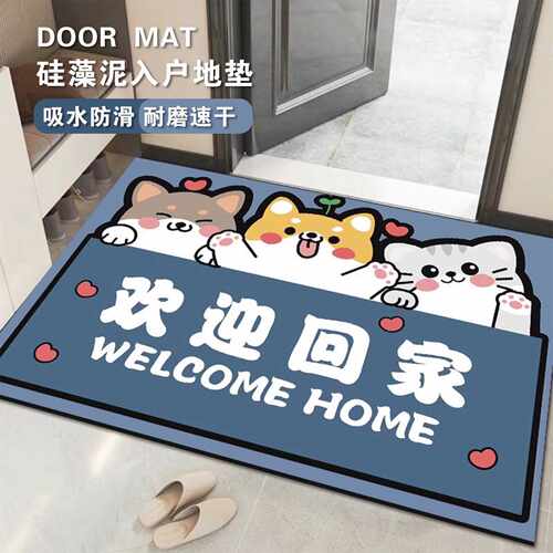 入户门地垫门口进门垫吸水脚垫地毯防滑卫生间浴室家用硅藻泥地垫