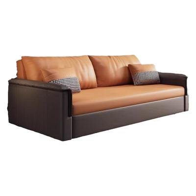 客厅可抽拉一体式沙发变床