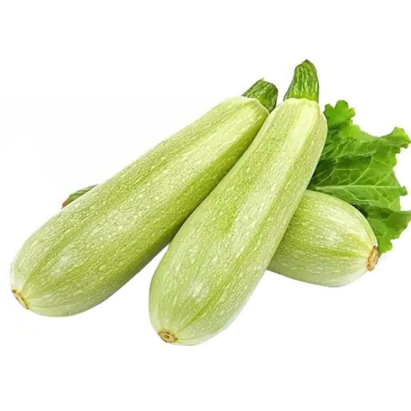 新鲜西葫芦瓜云南产地直发鲜嫩茭瓜三月瓜三叶瓜小瓜应季蔬菜包邮