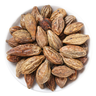 诃子500g250g克诃黎勒中药材诃黎金诃子肉大金果正品柯子粉新货