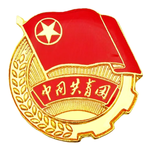 团徽共青团磁吸强磁2cm共青团团员徽章正版胸针团微章初中大学标准金属磁扣团章团辉新版勋章中央别针收纳盒