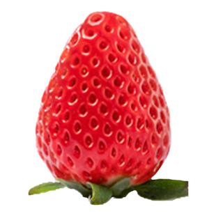 限定!桃萤津选 赤望「Max」草莓 赤王级木盒 AIberry联名 4D农场