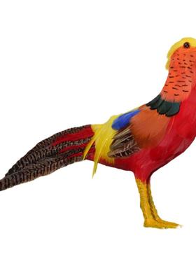 真羽毛动物摆件仿真红腹锦鸡模型