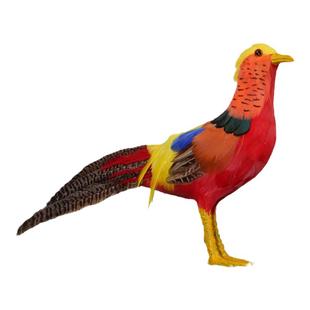 仿真红腹锦鸡模型羽毛动物摆件藏雪鸡野山鸡装饰摄影道具鸟工艺品