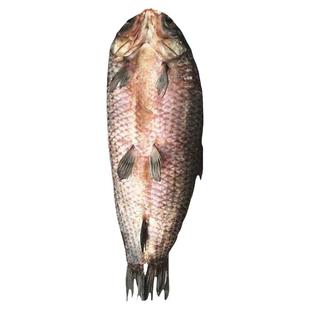 湖北特产农家腊货年货咸鱼干腊鱼风干鱼水库大螺蛳青鱼干10斤整条