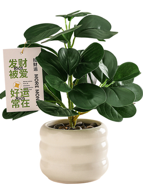 仿真绿植盆栽摆件高级感玄关客厅餐桌电视柜装饰假花摆设乔迁礼物
