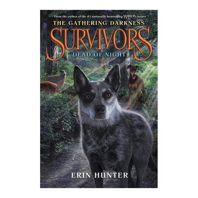 幸存者聚集的黑暗2夜深人静S