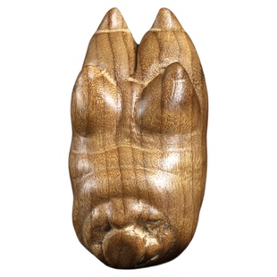 金丝楠木人生猪脚主角手把件钥匙扣创意礼物送男友猪蹄子汽车挂件