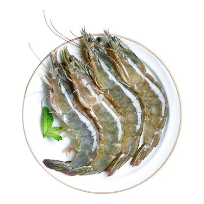【新鲜大虾】鲜活速冻