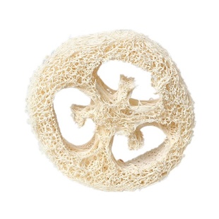 龙猫兔子荷兰猪磨牙丝瓜络零食玩具宠物耐咬丝瓜络玩具清洁牙齿