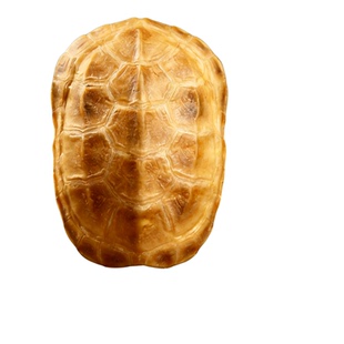 乌龟壳真龟甲龟卜卜文玩爻六卦算卜工具乾隆手把件周易64卦工具