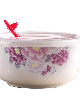 国美5保鲜碗冰箱微波炉饭盒陶瓷