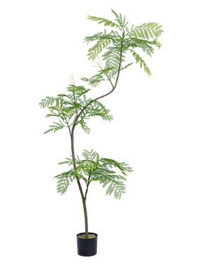5A级高品质高仿真蓝花楹氛围树