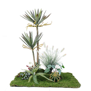 仿真绿植沙生植物仙人柱 沙漠植物造景 橱窗装饰场景布置大型室内