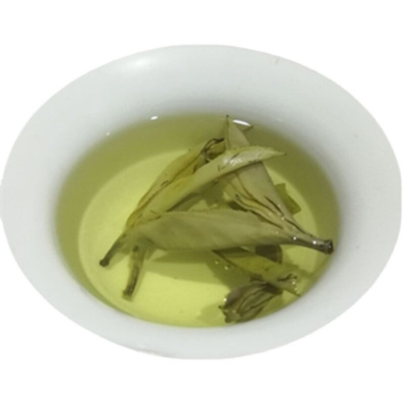产地发货全国包邮广西大叶苦丁茶