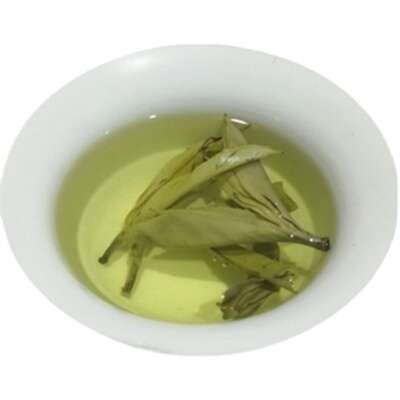 产地发货全国包邮广西大叶苦丁茶