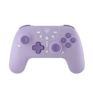 Switch2青春版手柄PC电脑Steam