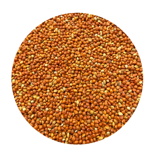 优质带壳红谷子 增亮毛色饱满鸟食鸟粮虎皮鹦鹉珍珠鸟饲料 大颗粒