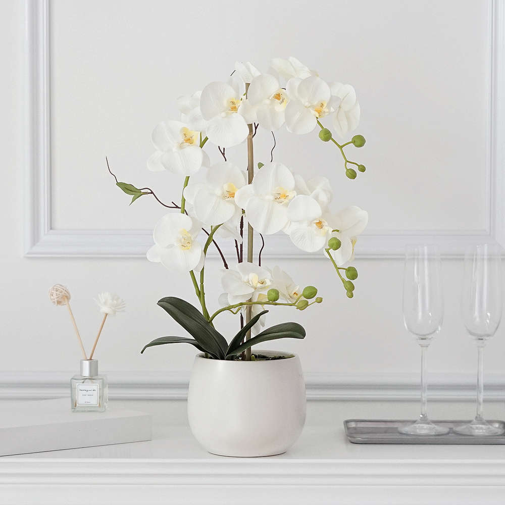 仿真蝴蝶兰盆栽套装客厅装饰摆件酒店玄关陶瓷盆绿植餐桌摆放装饰