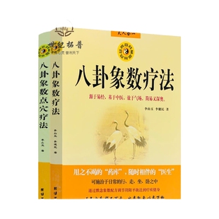 包邮正版 八卦象数疗法+八卦象数点穴疗法(2本) 源于易经,基于中医,效于气场,简单又深奥 李山玉,李建民/著 团结出版社