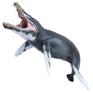 PNSO克柔龙杰夫海洋博物馆1比35科学艺术模型