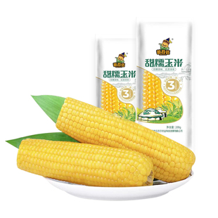 蒙谷苞新博斯糯九鲜甜糯东北玉米真空粘苞米棒鲜香拉丝独立精包装