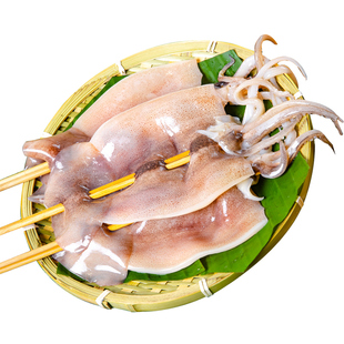 铁板大鱿鱼串烧烤串食材专用商用生鲜新鲜火锅半成品冷冻海鲜水产