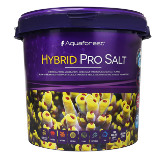 紫色森林珊瑚盐海盐海缸盐AF海水盐鱼缸专用SPS高钙LPS小丑鱼盐