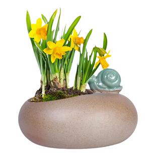 绿萝水培花盆水养的仿石头盆景碗莲个性创意小陶瓷无孔铜钱草花瓶