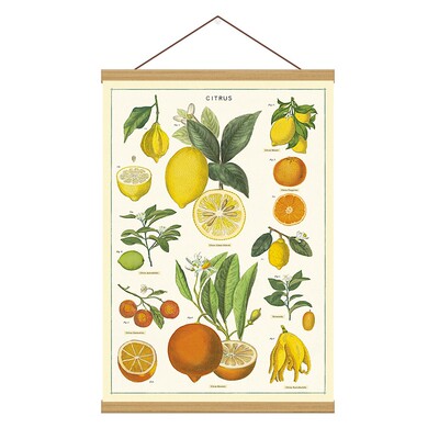 cavallini创意复古实木挂画