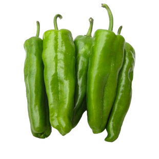 金玉大青椒种子 早熟超大果抗病高产孑大型牛角椒春天秋延种籽