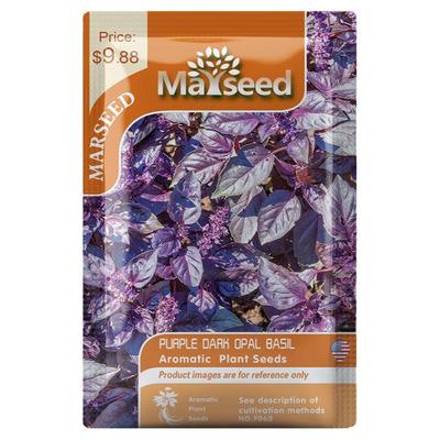 进口紫黑蛋白石甜罗勒种子