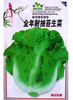 意大利叶用莴苣耐抽苔蔬菜种子