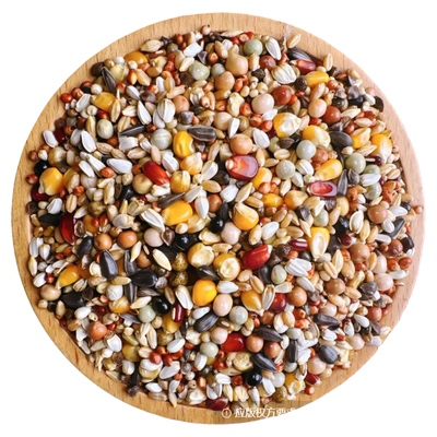 精英A级职业赛飞有玉米粒豌豆高粱小麦鸽粮鸽子专用食粮50斤包邮