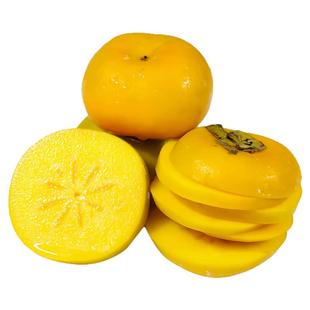 甜脆柿广西桂林恭城脆柿真空包装巧克力柿子月柿之乡甜脆柿