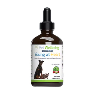 Pet Wellbeing宠物护肝关节肝脏奶蓟草保健品宠维保猫狗心脏呼吸