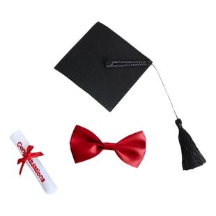 毕业公仔博士帽娃娃配件证书蝴蝶结煲呔毕业袍衣服学士帽子娃娃