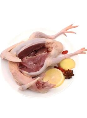 鸽子新鲜宰杀鲜活土鸽子