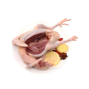农家散养鸽子新鲜宰杀鲜活土鸽子鸽子肉炖煲汤乳鸽生鲜鸽子肉老鸽