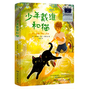 五年级2025暑假百班千人推荐逆袭男孩 万物皆美 烂泥怪 狼王洛波