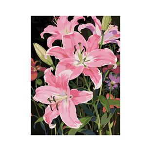 中古风粉百合花卉数字油画diy手工填涂色无聊解闷成人丙烯装饰画