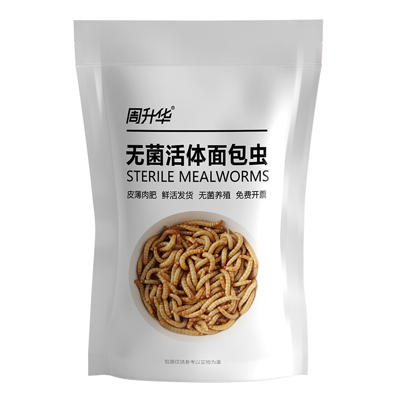 无菌活体面包虫活体黄粉虫活体虫子饲料包小虫子仓鼠鸟食龟守宫食