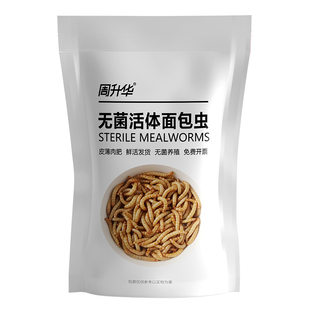 无菌活体面包虫活体黄粉虫活体虫子饲料包小虫子仓鼠鸟食龟守宫食